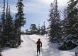 What is Nordic Skiing all about?