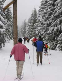 Ski Equipment Snow Sport Nordic Alpine