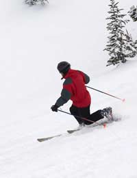 Nordic Skiing Ski Cross-country Races