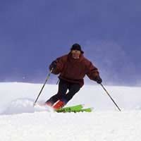Turn Parallel Wedge Ski Alpine Skiing