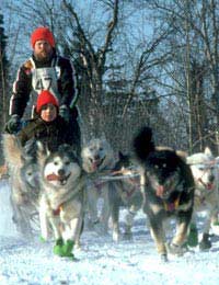 Dog Sled Last Great Race On Earth