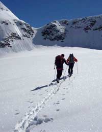 Nordic Skiing Ski Cross-country Snow