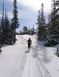 Free-heel Nordic Ski Cross-country