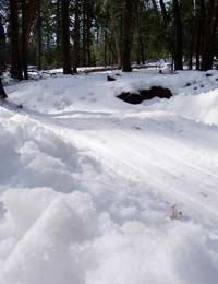 Sledding