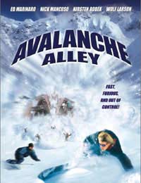 Paul Ziller Avalanche Ski Snowboard