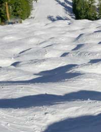 Skiing Moguls Bumps Mine Field Groomers