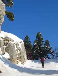 At Alpine Trekking Skinning Skiing