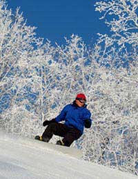 Snowboard Snowboarder Capped Core Fibre