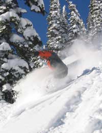 Spilt Board Snowboard Snowboarding