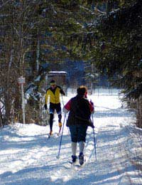 Nordic Cross-country Skiing Aerobic