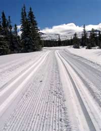 Aerobic Exercise Cross-country Ski Snow