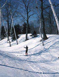 Skiing Cross-country Xc Hazards Dangers