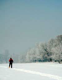 Snow Shoeing